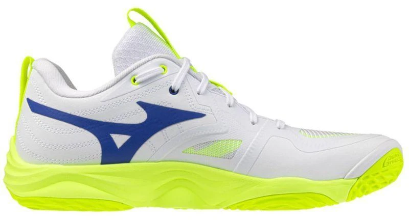 Mizuno WAVE MOMENTUM ELITE V1GA251239 batai