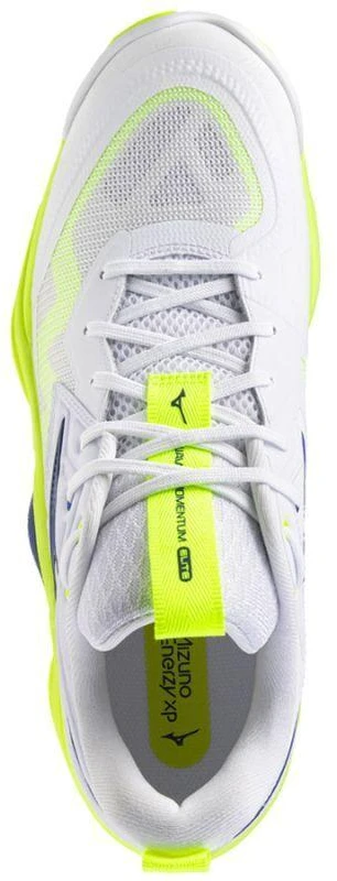 Mizuno WAVE MOMENTUM ELITE V1GA251239 batai