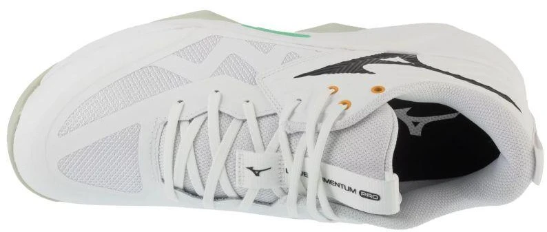 Mizuno Wave Momentum Pro V1GA254021 Balti 41