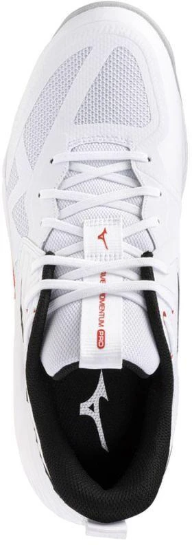 Mizuno WAVE MOMENTUM PRO V1GA254059 batai