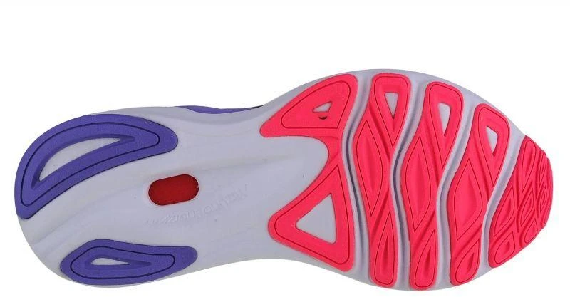 Mizuno Wave Skyrise 4 moteriški bėgimo bateliai J1GD230971