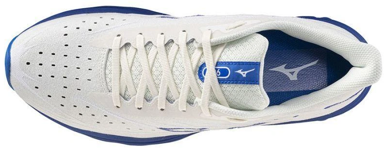 Mizuno Wave Skyrise 6 M J1GC250954 batai