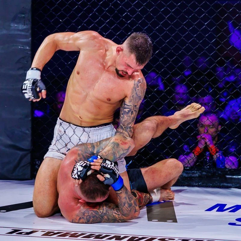 MMA pirštinės - Harmonija - Valor serija