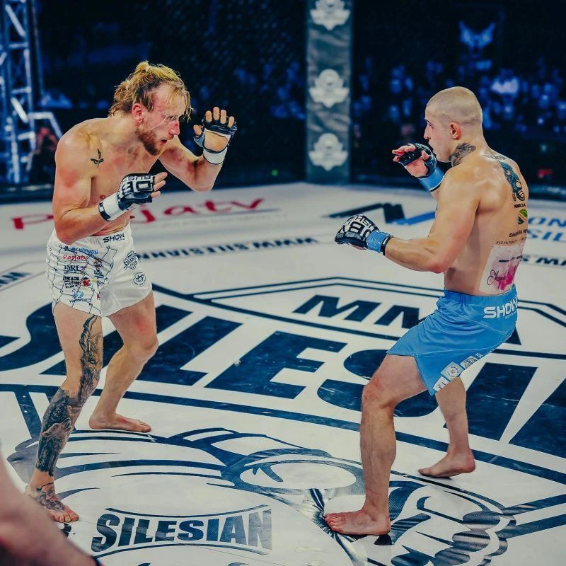 MMA pirštinės - Harmonija - Valor serija