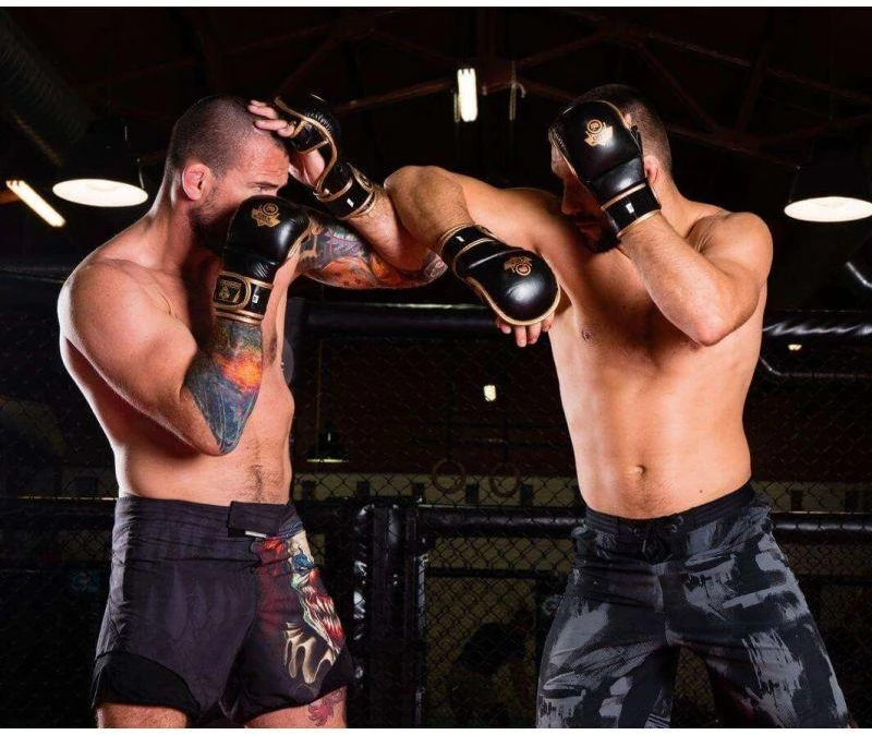 MMA ringtynių pirštinės M - Aureos - Valor Series