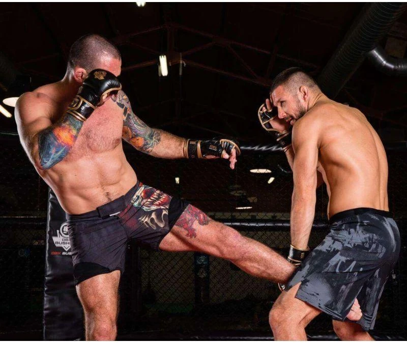 MMA ringtynių pirštinės M - Aureos - Valor Series