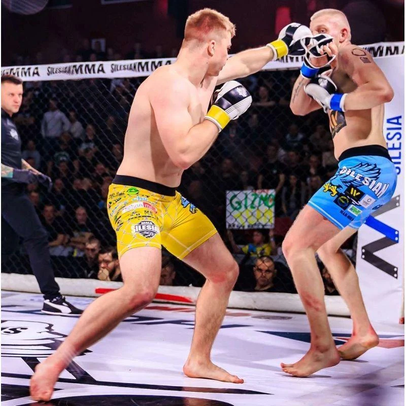 MMA treniruočių pirštinės S/M - Edge - Valor serija