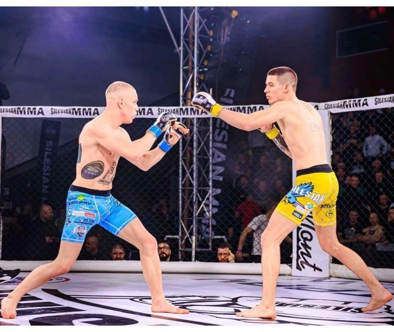 MMA treniruočių pirštinės S/M - Undefeated - Valor serija