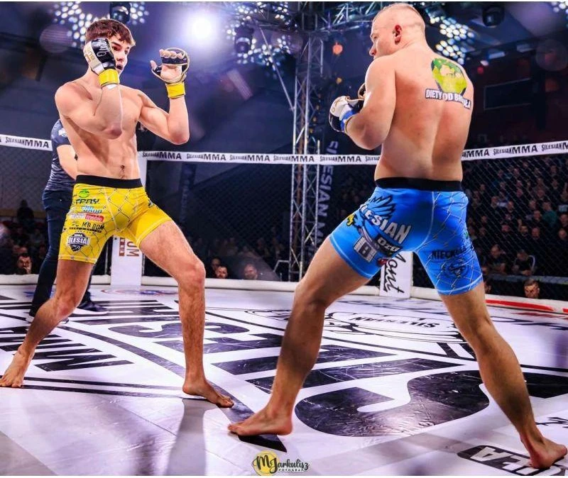 MMA treniruočių pirštinės S/M - Undefeated - Valor serija
