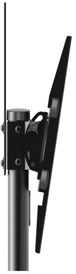 Assmann Electronic Mobilus stovas DIGITUS DA-90370 (37" - 70", maks. 50kg)