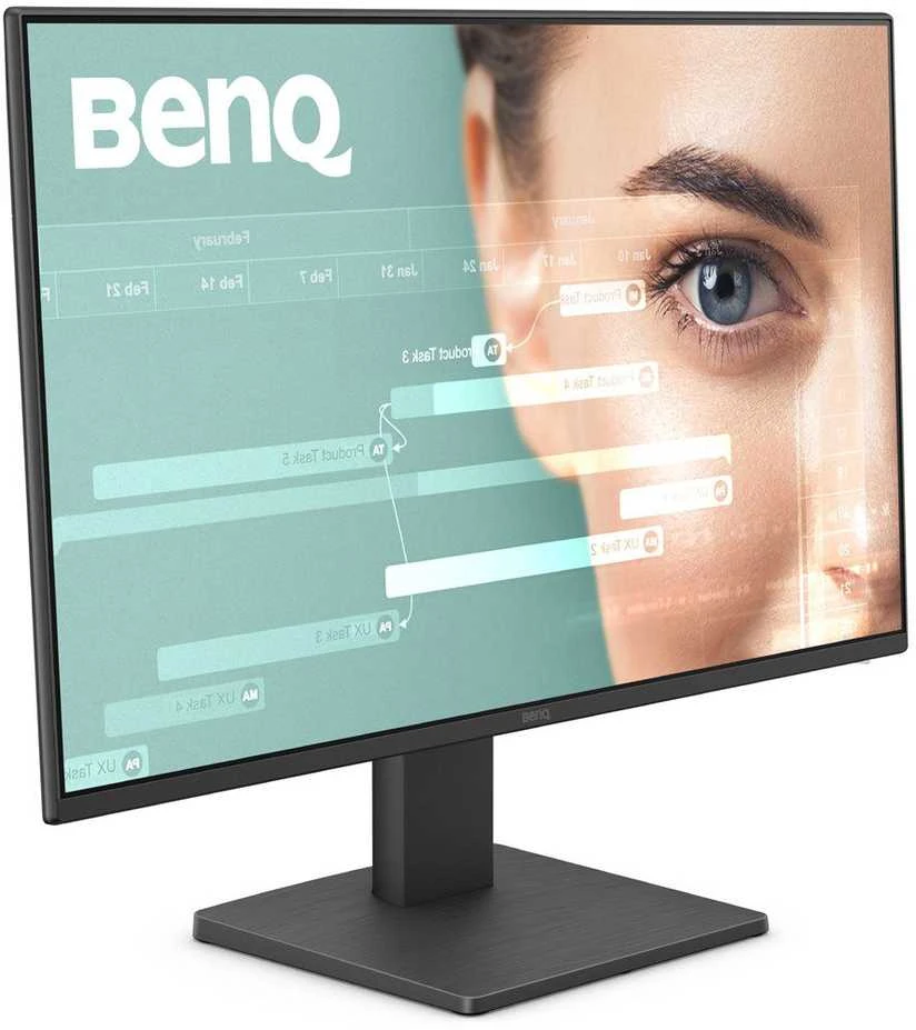 Monitorius BENQ GW2491 24" FHD IPS 100HZ HDMI/DP