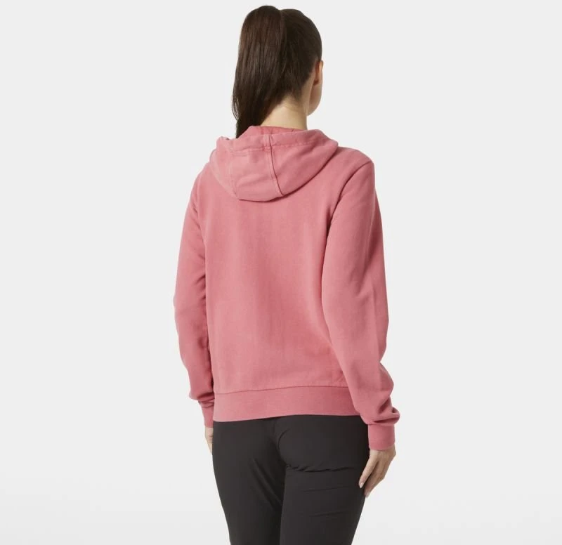 Moteriškas medvilninis džemperis su gobtuvu Helly Hansen HH Logo 2.0
