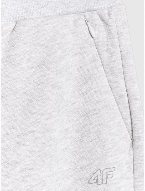 Moteriškos jogger stiliaus kelnės 4F 4FRMM00TTROF1843-27M