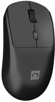 Natec | Klaviatūra ir pelė | Squid 2in1 Bundle | Klaviatūros ir pelės rinkinys | Wireless | Belaidė jungtis | US | Juodas