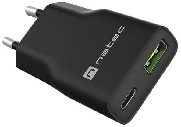 NATEC RIBERA GAN SLIM MAINS CHARGER 1× USB-A + 1× USB-C 20W Juodas