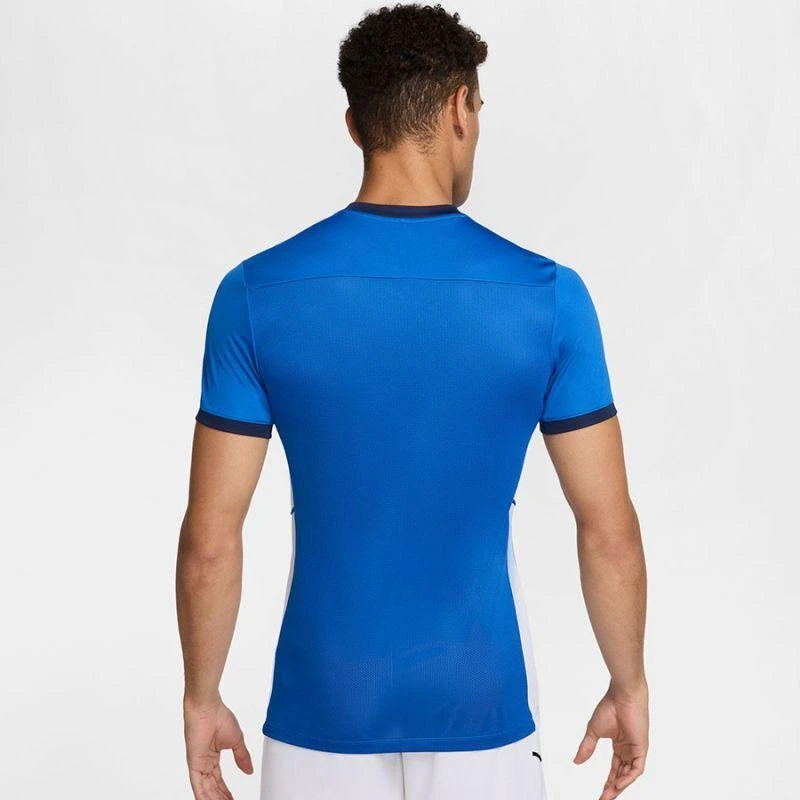 Nike Academy 25 SS Top M FZ9754-463