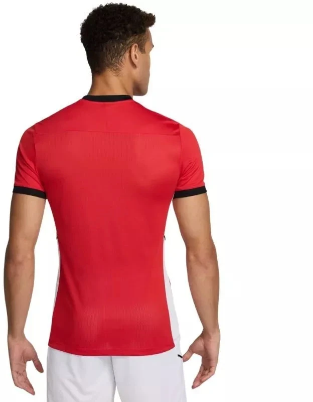 Nike Academy 25 SS Top M FZ9754 657