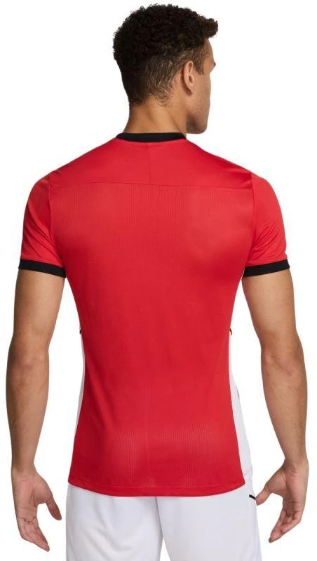 Nike Academy 25 SS Top M FZ9754 657