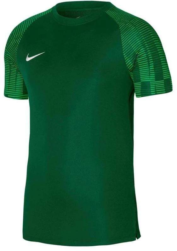 Nike Academy Jaunes T-marškiniai DH8369 302