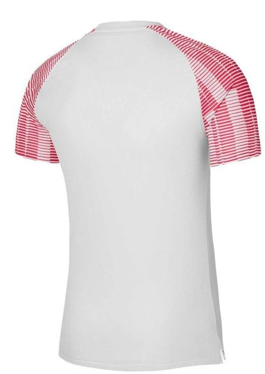 Nike Academy Jaunių Džersis DH8369-100