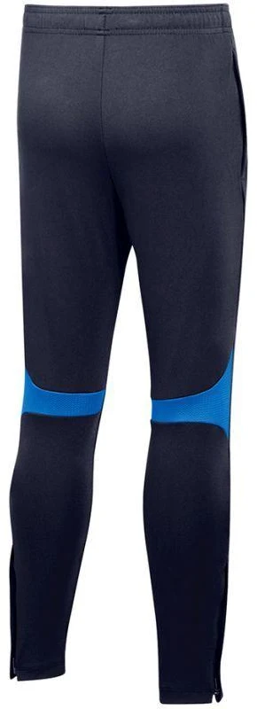 Nike Academy Pro Pant Youth Jr DH9325 451