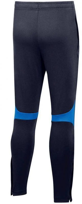 Nike Academy Pro Pant Youth Jr DH9325 451