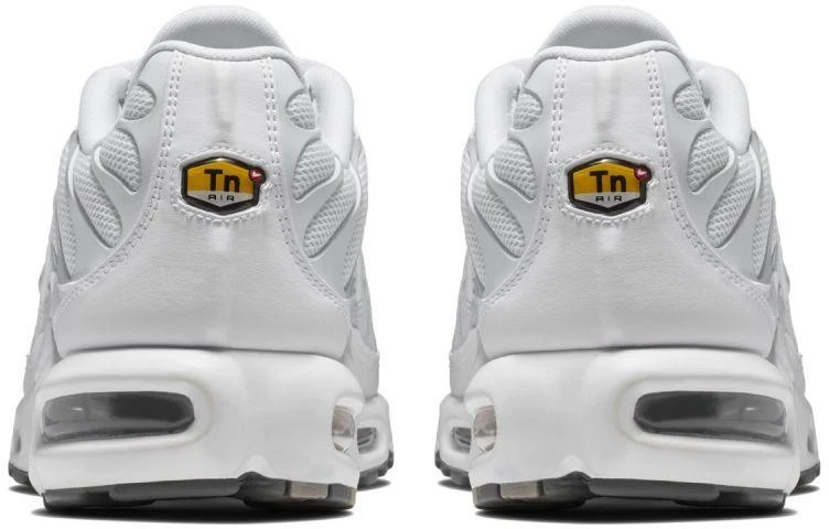 Nike Air Max Plus M 604133-139 Batai