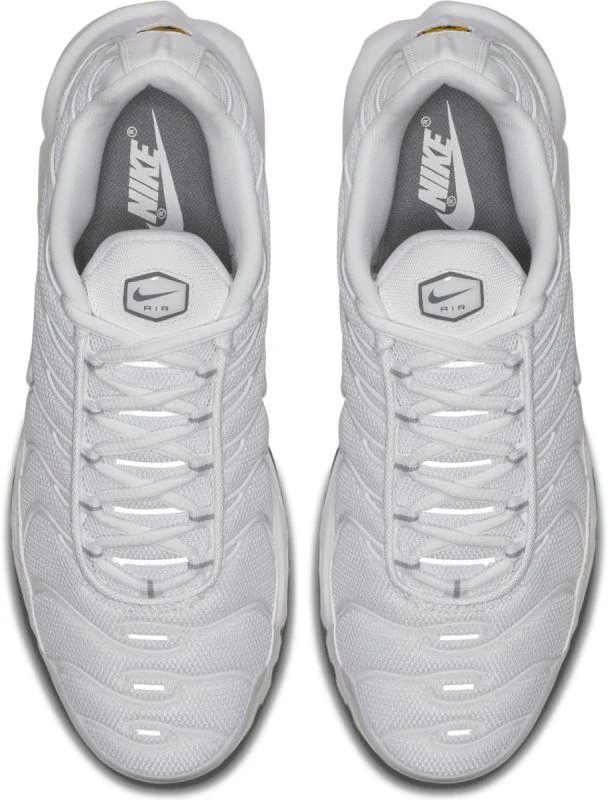 Nike Air Max Plus M 604133-139 Batai