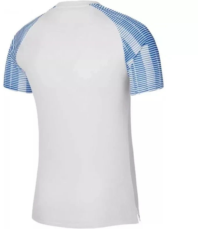 Nike Df Academy Jsy SS Jr marškinėliai DH8369 102
