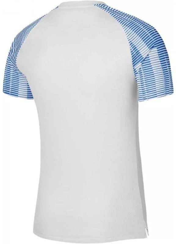 Nike Df Academy Jsy SS Jr marškinėliai DH8369 102