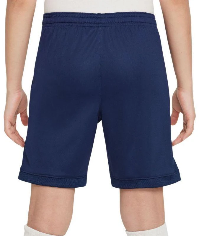 Nike Dri Fit Academy 25 Jr šortai FZ9784 410