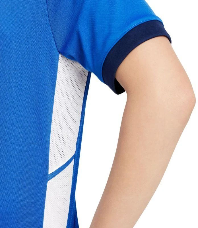 Nike Dri-Fit Academy 25 moksleivių trumpas rankoves marškinėliai FZ9758 463