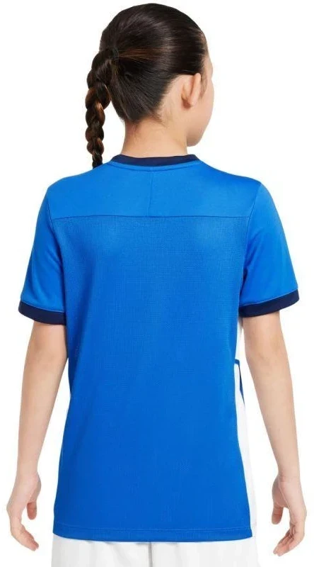 Nike Dri-Fit Academy 25 moksleivių trumpas rankoves marškinėliai FZ9758 463