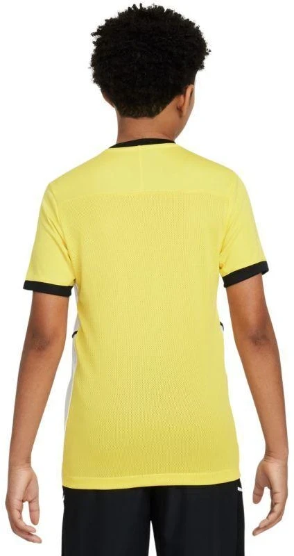 Nike Dri-Fit Academy 25 SS Jr Marškinėliai FZ9758 719