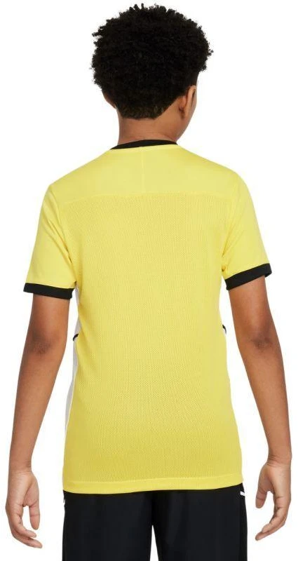 Nike Dri-Fit Academy 25 SS Jr Marškinėliai FZ9758 719