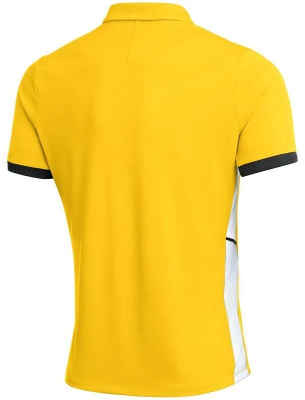 Nike Dri-Fit Academy 25 SS Polo marškinėliai M FZ9759 719
