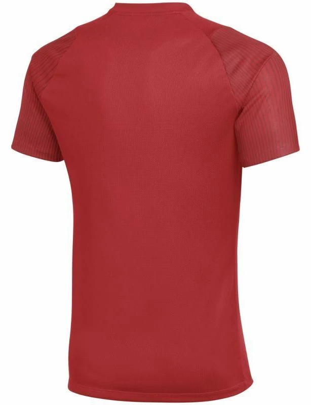 Nike Dri-Fit Academy II Vyriški marškinėliai Raudoni HV8160 657