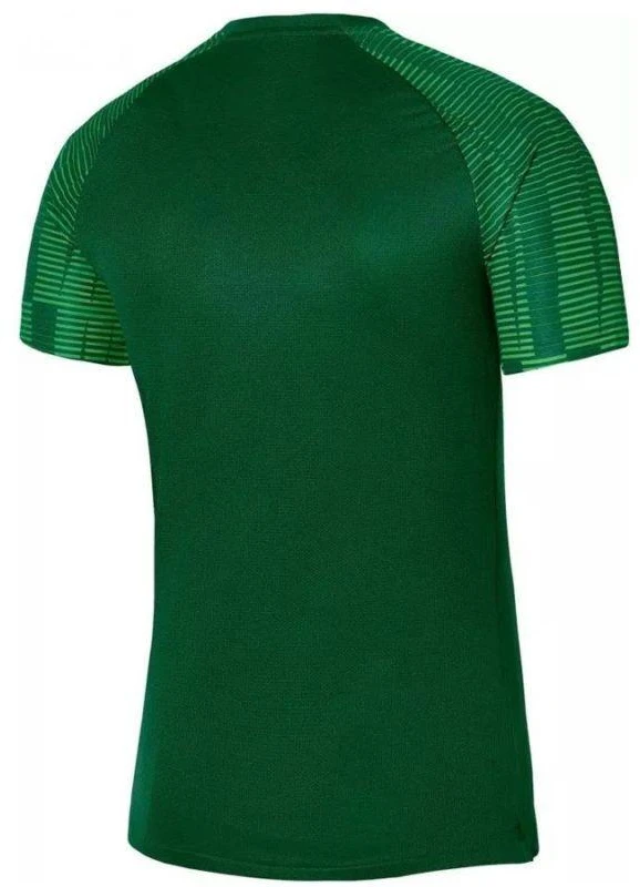 Nike Dri-Fit Academy SS M DH8031 302 marškinėliai