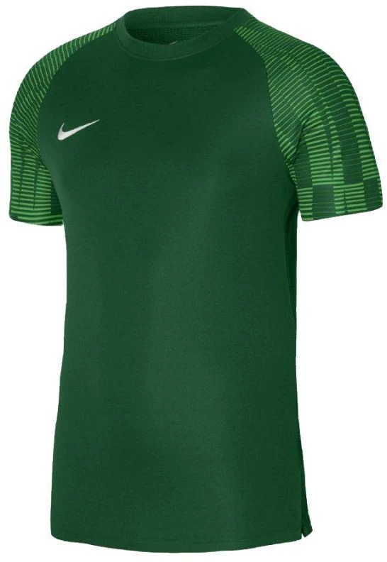 Nike Dri-Fit Academy SS M DH8031 302 marškinėliai
