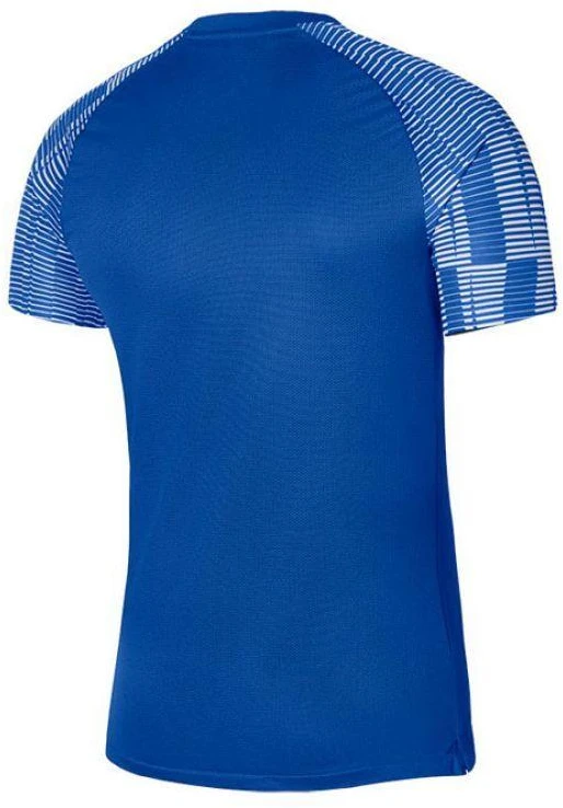 Nike Dri-Fit Academy SS M DH8031-463 marškinėliai