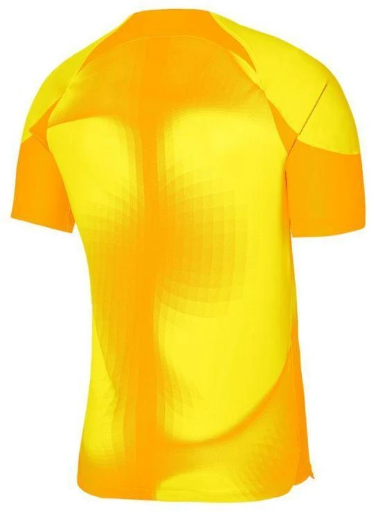 Nike Dri-FIT ADV Gardien 4 M Vartininko Marškinėliai DH7760-719