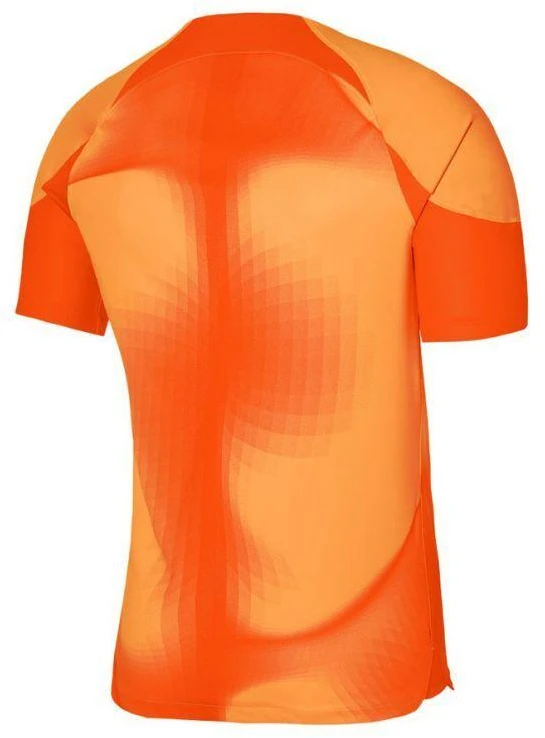 Nike Dri-FIT ADV Gardien 4 M Vartininko Džersis DH7760-819