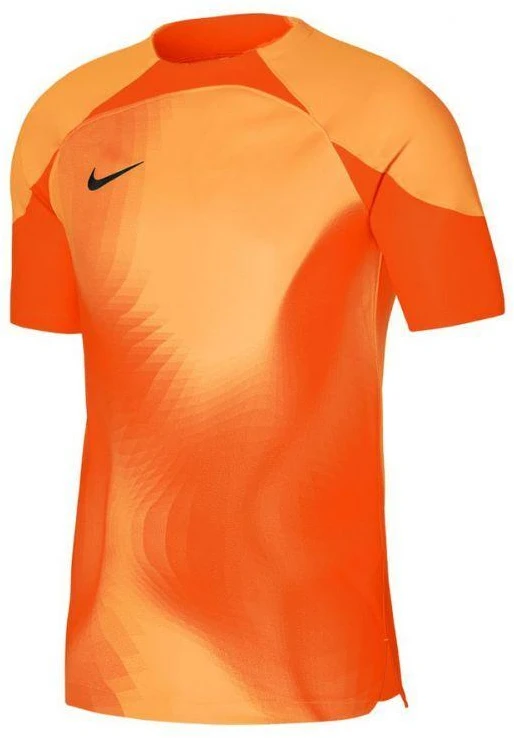 Nike Dri-FIT ADV Gardien 4 M Vartininko Džersis DH7760-819