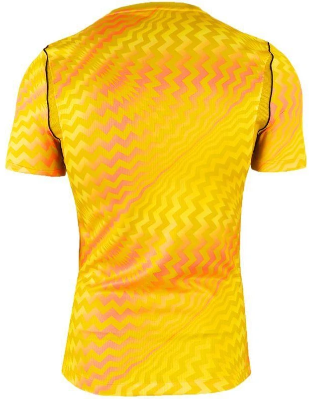 Nike Dri-Fit Gardien VI Vyriški Vartininko Marškinėliai Geltoni HV8301 718
