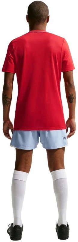 Nike Dri-Fit Park 26 SS vyriški marškinėliai Raudoni HM7127 657