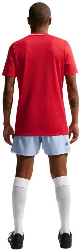 Nike Dri-Fit Park 26 SS vyriški marškinėliai Raudoni HM7127 657