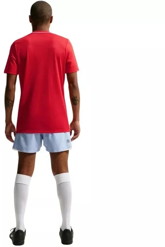 Nike Dri-Fit Park 26 SS vyriški marškinėliai Raudoni HM7127 657