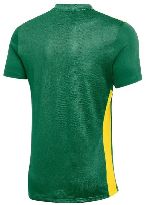 Nike Dri-FIT Park Derby IV Jr FD7438-303