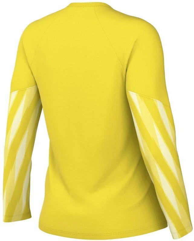 Nike Dri-Fit Park V Stadium moteriški marškinėliai, geltoni HV8316 718