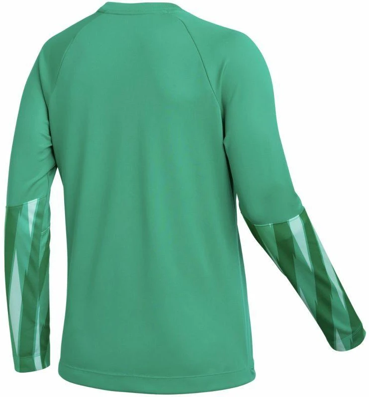 Nike Dri-Fit Park V Stadium Moterų Džersis Žalias HV8316 324